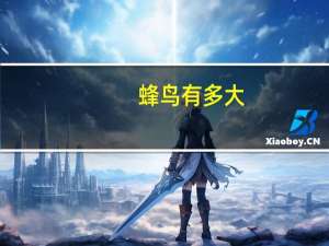 蜂鸟有多大
