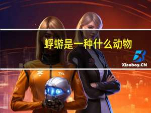 蜉蝣是一种什么动物