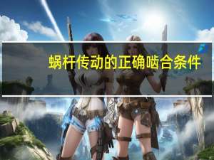 蜗杆传动的正确啮合条件