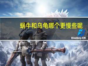 蜗牛和乌龟哪个更慢些呢