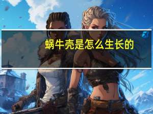 蜗牛壳是怎么生长的