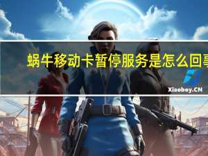 蜗牛移动卡暂停服务是怎么回事（蜗牛移动卡）