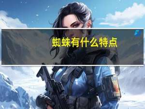 蜘蛛有什么特点