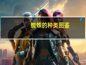 蜘蛛的种类图鉴（蜘蛛的种类及图片）