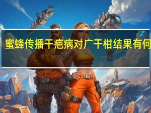 蜜蜂传播干疤病对广干柑结果有何影响