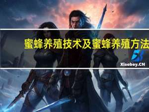蜜蜂养殖技术及蜜蜂养殖方法（养蜜蜂技术）