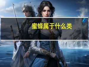 蜜蜂属于什么类