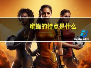 蜜蜂的特点是什么