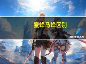 蜜蜂马蜂区别