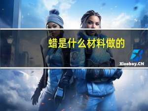 蜡是什么材料做的