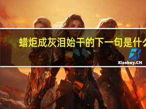 蜡炬成灰泪始干的下一句是什么