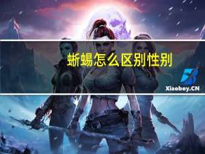 蜥蜴怎么区别性别