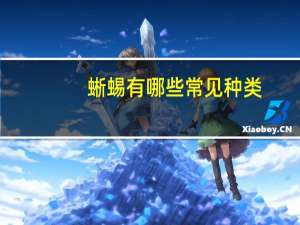 蜥蜴有哪些常见种类