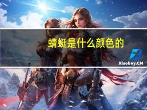 蜻蜓是什么颜色的