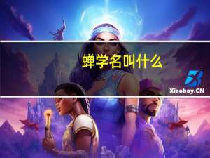 蝉学名叫什么