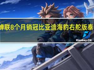 蝉联8个月销冠 比亚迪海豹右舵版泰国上市：首日订单破千