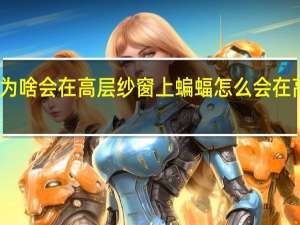 蝙蝠为啥会在高层纱窗上 蝙蝠怎么会在高层纱窗上