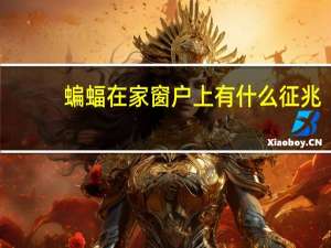 蝙蝠在家窗户上有什么征兆