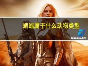 蝙蝠属于什么动物类型