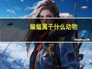 蝙蝠属于什么动物