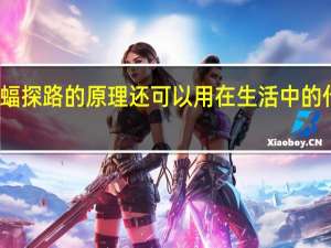 蝙蝠探路的原理还可以用在生活中的什么地方