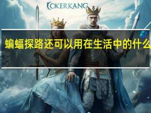 蝙蝠探路还可以用在生活中的什么地方