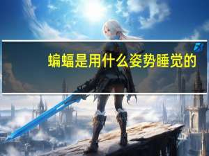 蝙蝠是用什么姿势睡觉的（蝙蝠以什么姿势排泄）