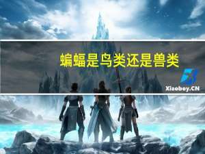 蝙蝠是鸟类还是兽类