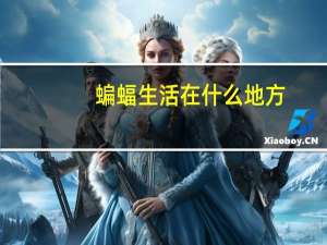 蝙蝠生活在什么地方