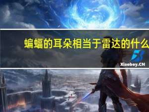 蝙蝠的耳朵相当于雷达的什么