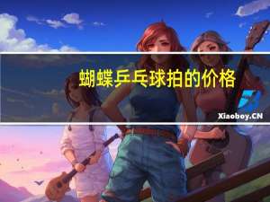 蝴蝶乒乓球拍的价格