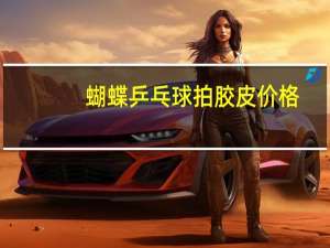 蝴蝶乒乓球拍胶皮价格