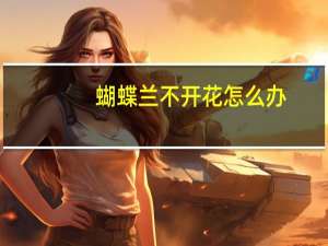蝴蝶兰不开花怎么办
