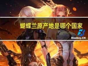 蝴蝶兰原产地是哪个国家