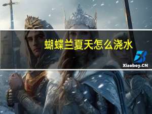 蝴蝶兰夏天怎么浇水