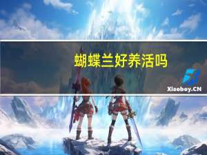 蝴蝶兰好养活吗