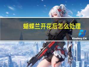 蝴蝶兰开花后怎么处理