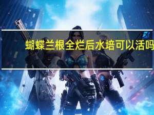 蝴蝶兰根全烂后水培可以活吗
