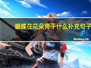蝴蝶在花朵旁干什么补充句子