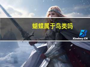 蝴蝶属于鸟类吗
