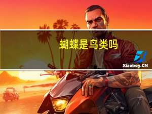 蝴蝶是鸟类吗
