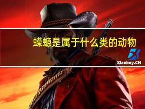 蝾螈是属于什么类的动物