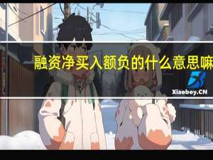 融资净买入额负的什么意思嘛