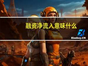 融资净流入意味什么