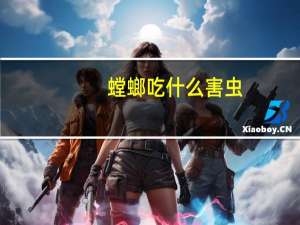 螳螂吃什么害虫