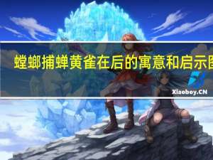 螳螂捕蝉黄雀在后的寓意和启示图片（螳螂捕蝉黄雀在后的寓意）