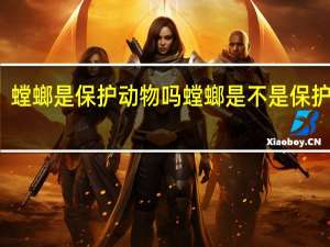 螳螂是保护动物吗 螳螂是不是保护动物