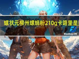 螺状元 柳州螺蛳粉 210g卡路里是多少