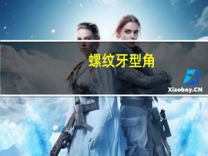螺纹牙型角（螺纹牙型）