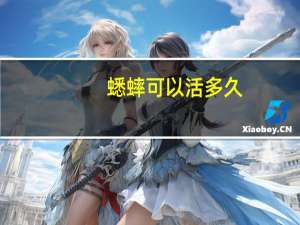 蟋蟀可以活多久